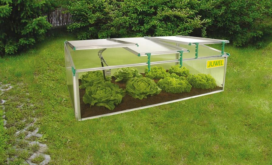 Pařeniště Juwel BioStar 1500 na zeleném trávníku