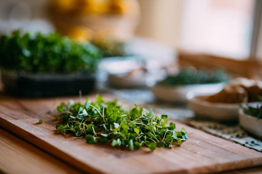 Microgreens na dřevěné desce